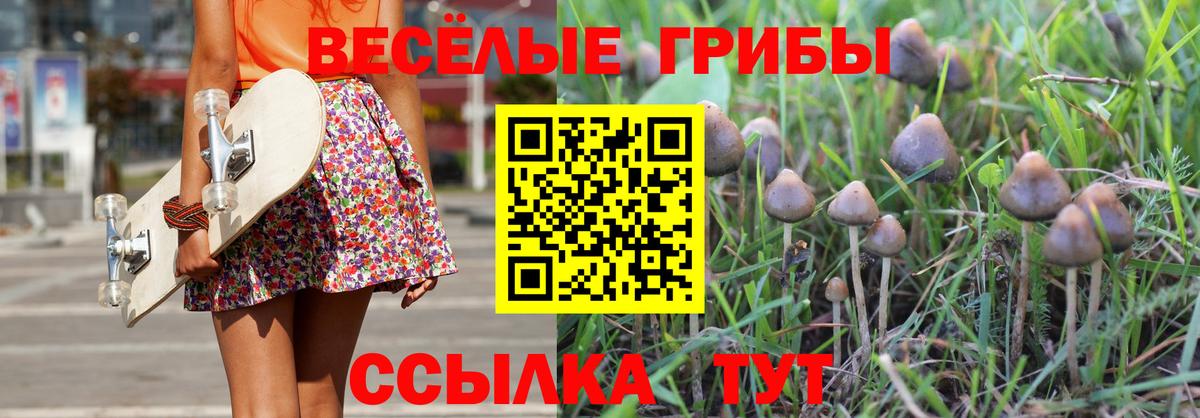 Галлюциногенные грибы мухоморы Боровичи