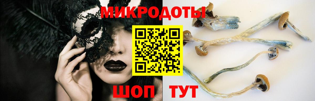 Галлюциногенные грибы прущие грибы  Галлюциногенные грибы ЛСД  Боровичи  Вход с VPN 